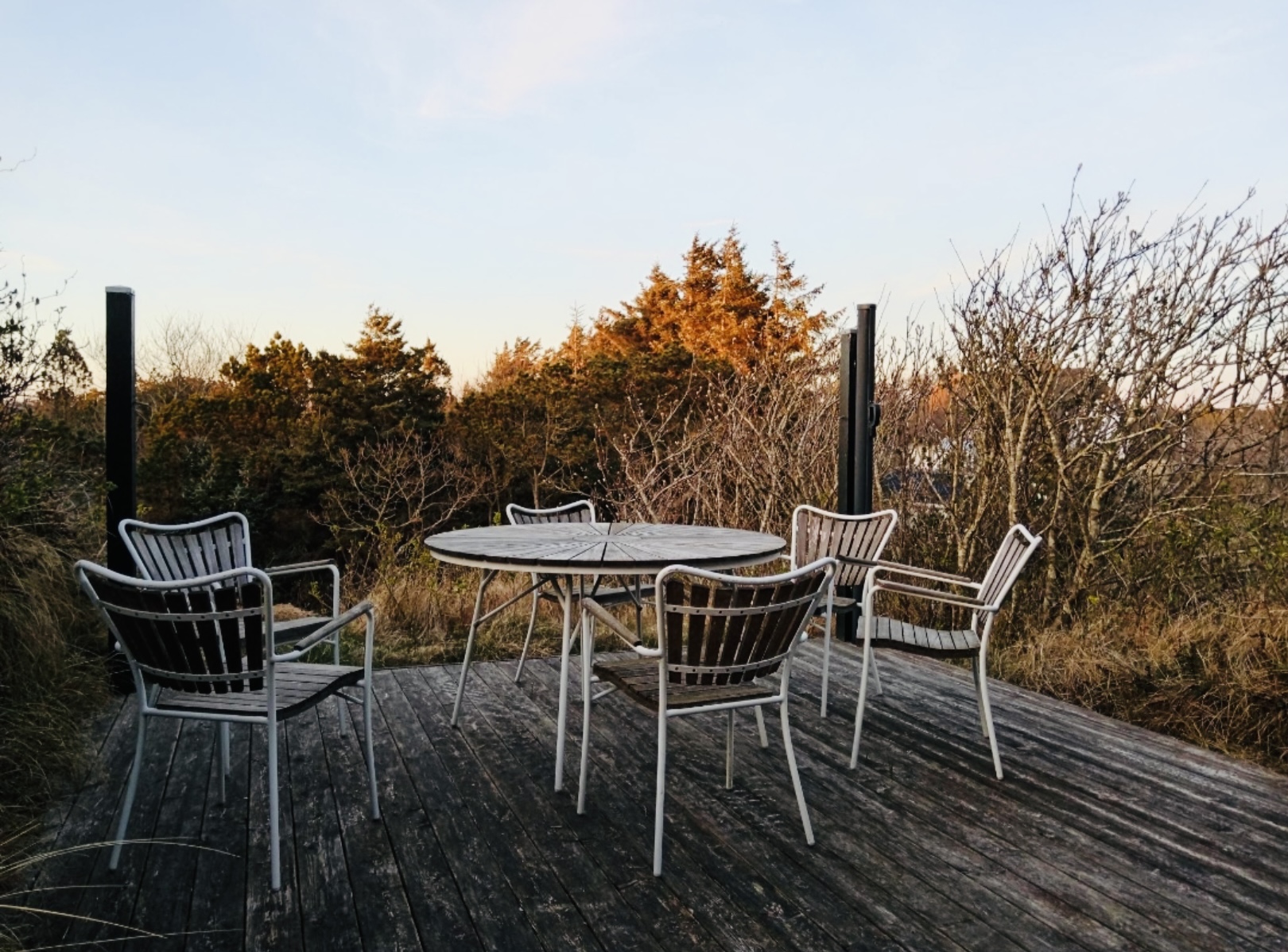 Systemische Therapie